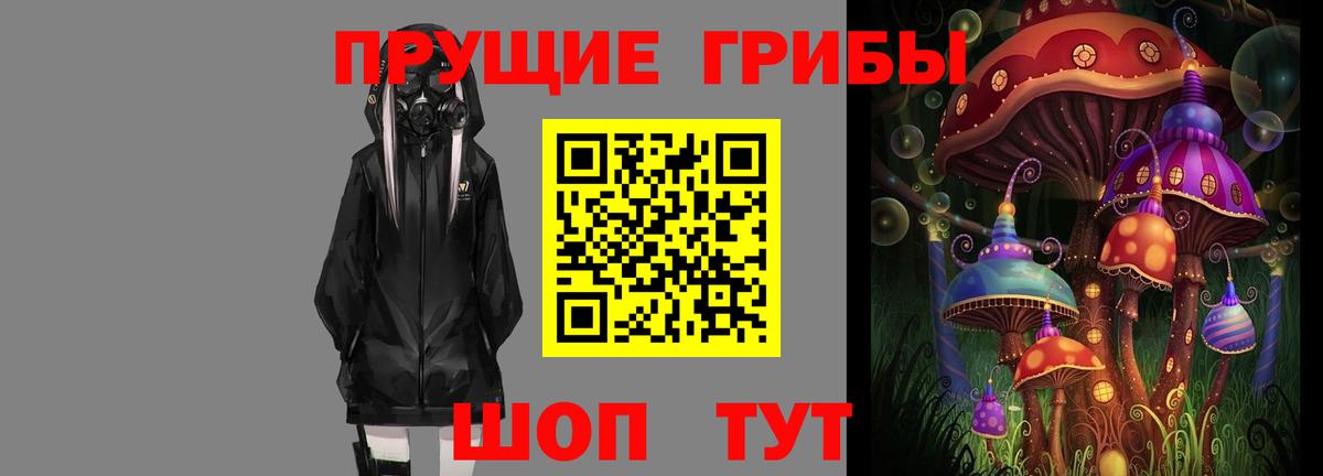 Псилоцибиновые грибы прущие грибы Лосино-Петровский